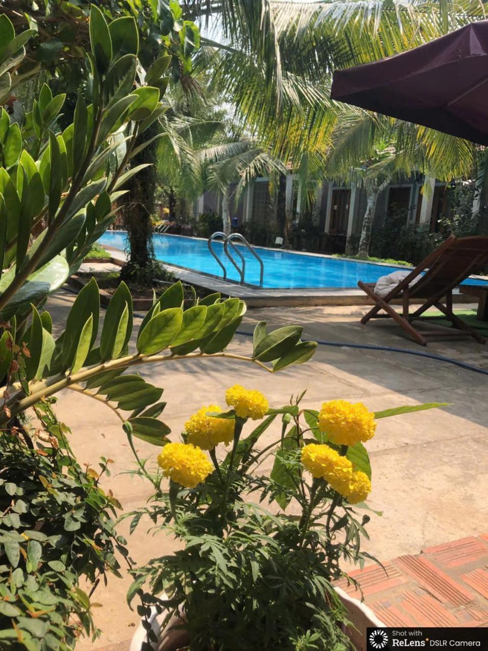 Gecko House Hotel Phú Quốc Eksteriør billede