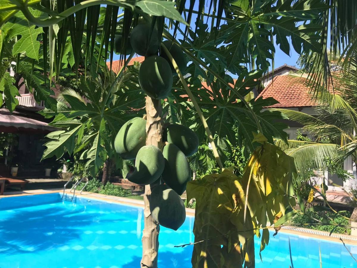 Gecko House Hotel Phú Quốc Eksteriør billede